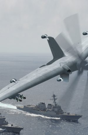 tern